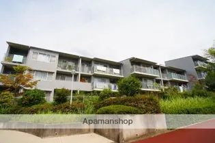 グレーシィ高の原の画像