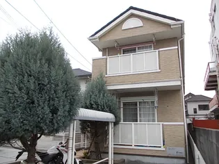 ヴィオラの画像