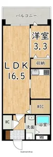フェリス【6階】の間取り