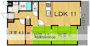 メゾン白光ヶ丘(ビャッコウガオカ)【1階】の間取り