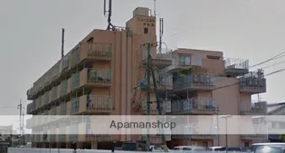 ニューエストタカダの画像