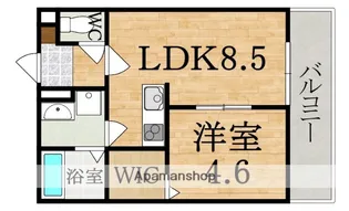 GRM小泉【3階】の間取り