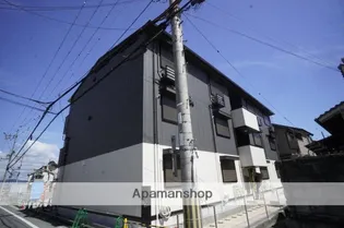 いかるの画像