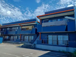 HILLS HAYAの画像