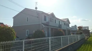 オネスティの画像