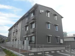 アイビーの画像