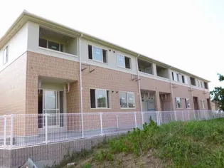 テリーヒルズの画像