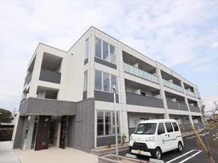 ゼルコバの画像