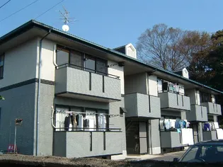 エトワール モーリの画像