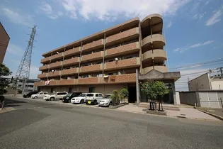 ロワゾブルーの画像