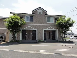 セーリオAの画像