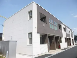 エヌ フィールドの画像