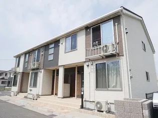 トライブBの画像