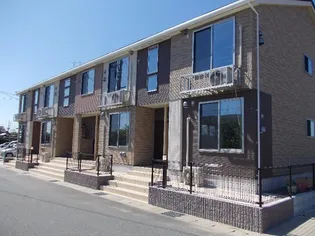 プラシードBの画像