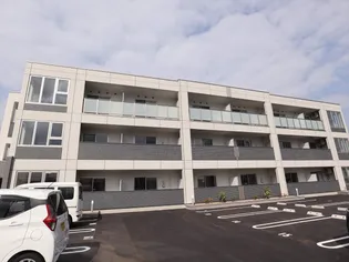 ゼルコバの画像