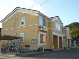 トマト&サンライズの画像