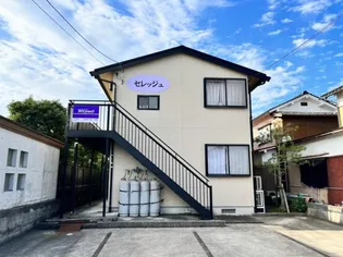 セレッジュの画像