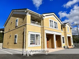 アメリカンイエローズBの画像