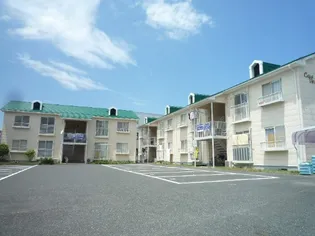 カーサ ヴェルデの画像