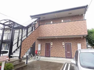 VIOLA LUTEAの画像