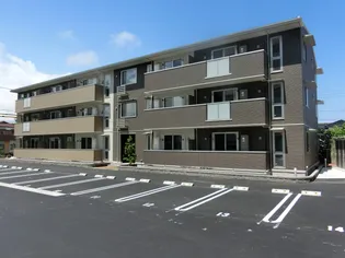 パラシオの画像