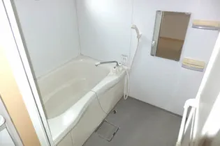 シャーメゾン湖山北【0102号室】の風呂