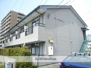 サンフラワーの画像