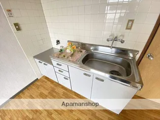 コーポブランシュ【202号室】のキッチン