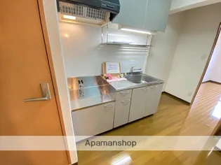 パールヴィレッジ【405号室】の内装