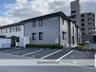 ソフィアMの画像