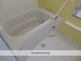 エレガント ケイB【1階】の風呂