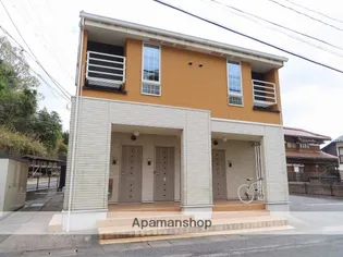 プリムローズの画像