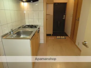 ブライトフューチャー・N【207号室】のキッチン