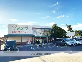 サンハイム井上C棟【105号室】の周辺