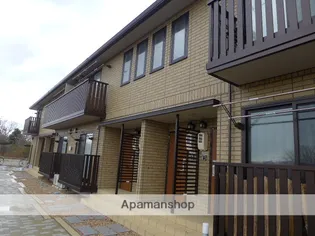 サカエイトの画像