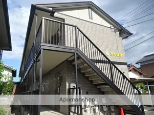 たんぽぽの画像