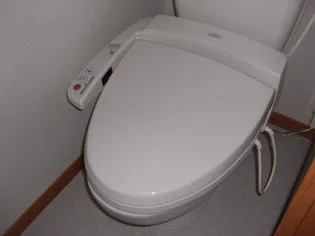 レオパレスペニンシュラA【203号室】の風呂