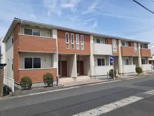 サフランの画像