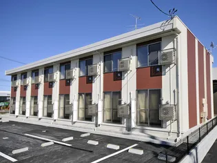 レオネクスト佐陀の画像