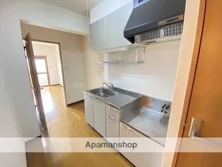 パールヴィレッジ【301号室】のキッチン