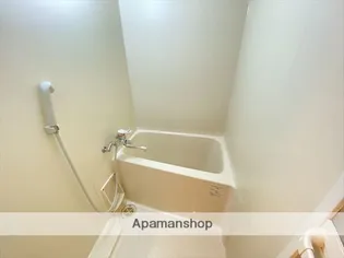 パールヴィレッジ【301号室】の風呂