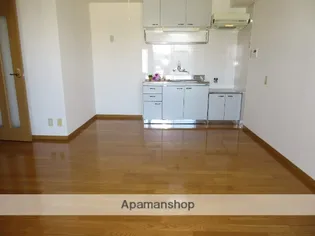 アーバネスト西村Ⅷ【307号室】のキッチン