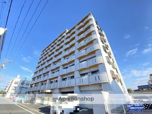 エクセル富士見マンション【8階】の外観