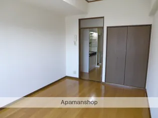 エクセル富士見マンション【908号室】の居間