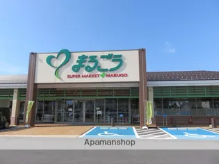 サンハイム井上C棟【202号室】の周辺