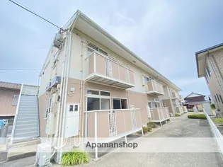 マイルドオークの画像