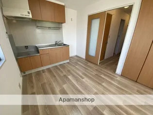 メゾン アイ ファミーユ B【205号室】の居間