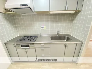 エクセレント米子【206号室】のキッチン