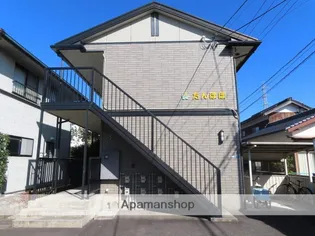 たんぽぽの画像