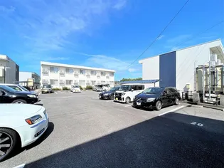 レオパレスペニンシュラT【206号室】のその他画像